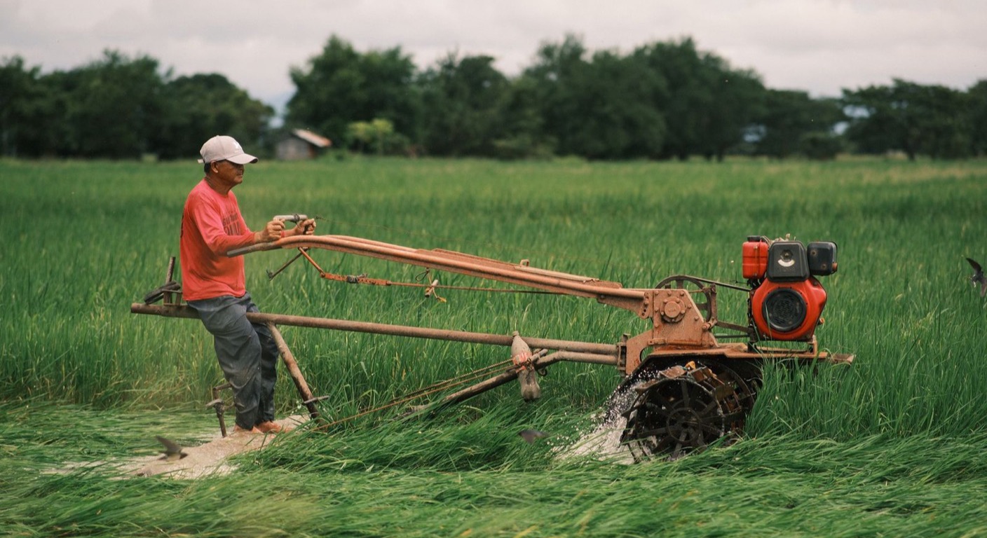 A farmer working a rice field in the Philippines